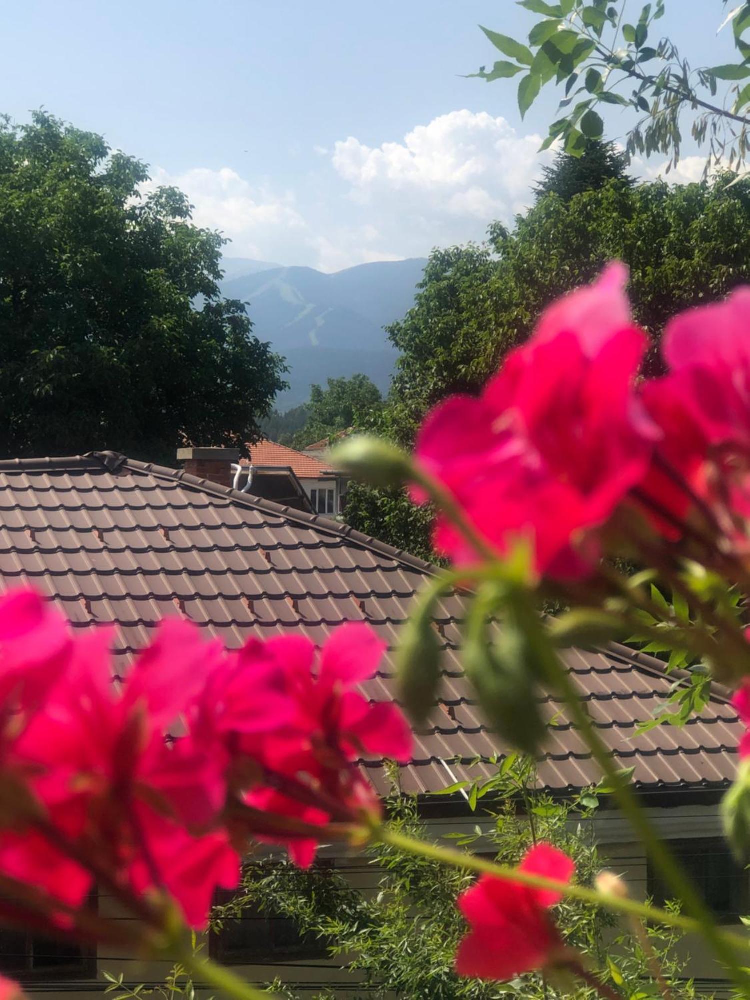 Guest House Legeto ซาโมคอฟ ภายนอก รูปภาพ
